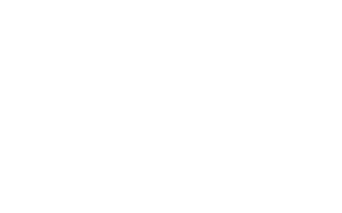 Logo The One